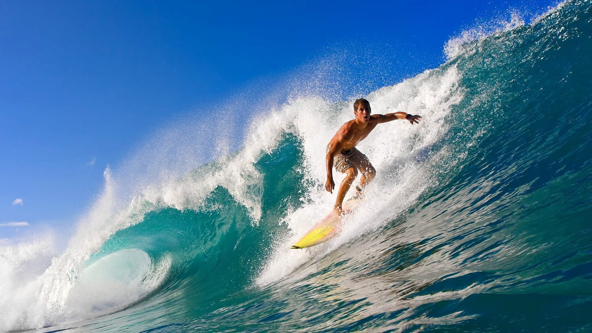 塔特打破传统打法,以新鲜战术带领袋鼠队攀升至顶峰