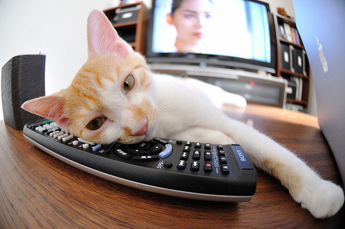 哥伦比亚女足在巴黎奥运会比赛中表现出色，赢得奖杯，哥伦比亚男足名单